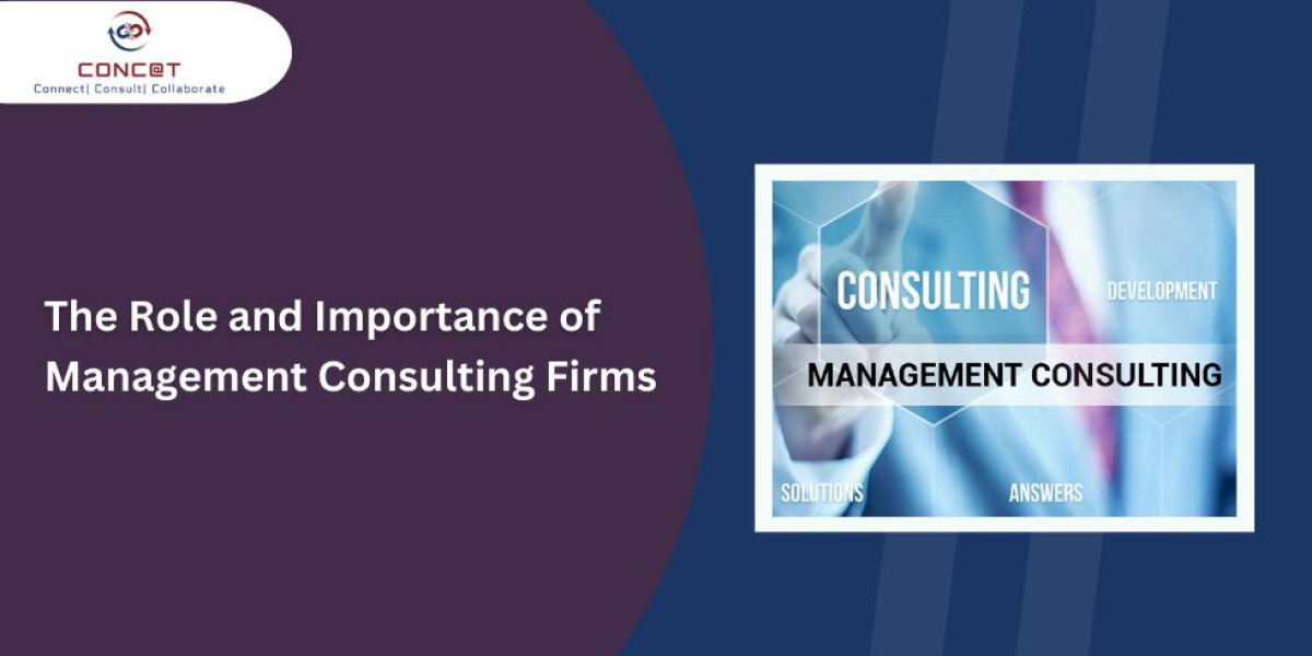 Empowering Organizations to Thrive: The Role of a Management Consulting Firm