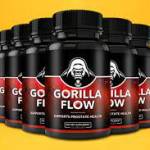 Gorilla Flow profile picture
