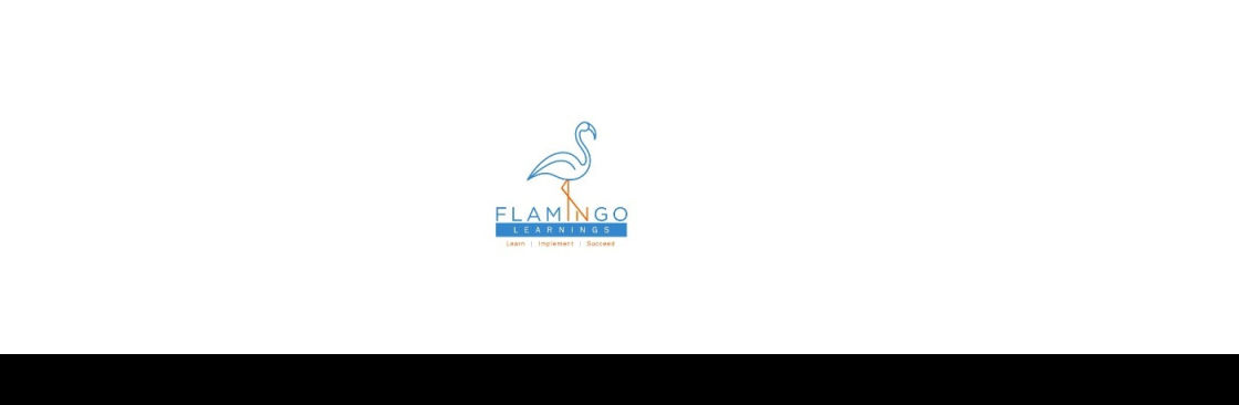 Flamingo Learnings Cover Image