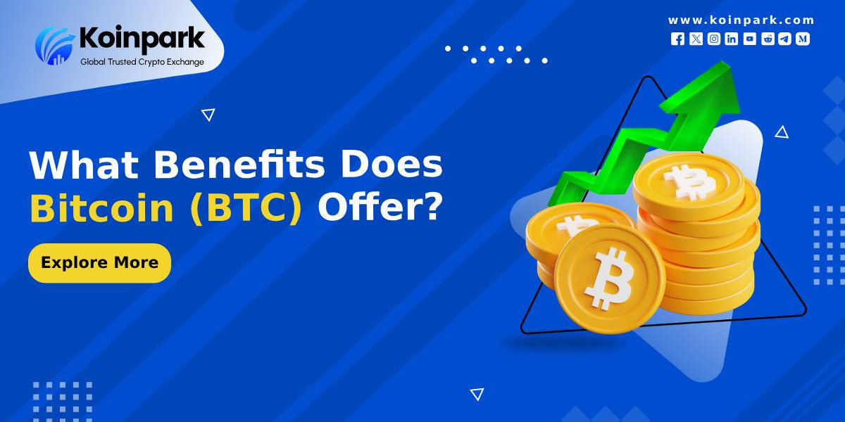 What Benefits Does Bitcoin (BTC) Offer?