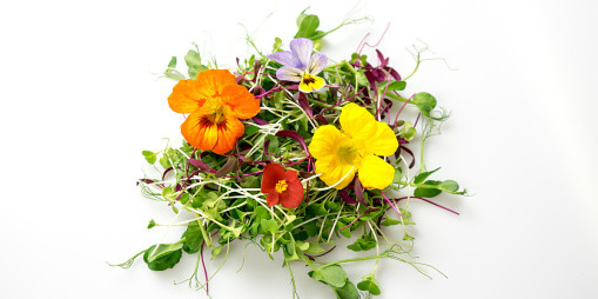 Edible Flowers Market Size, Key Players, Statistics, Gross Margin, and Forecast 2032