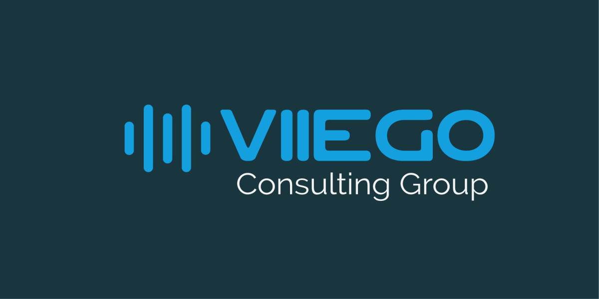 Introducing Viiego: Pioneering Technology Brokerage for Seamless IT Solutions