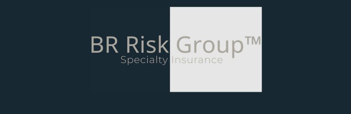 BR Risk Group Specialty Insurance Cover Image