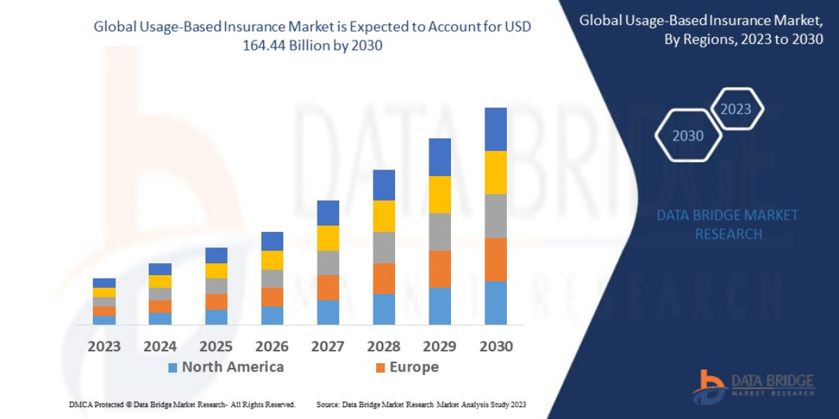 Usage-Based Insurance Market  Potential Growth, Share, Demand, and Key Player Analysis