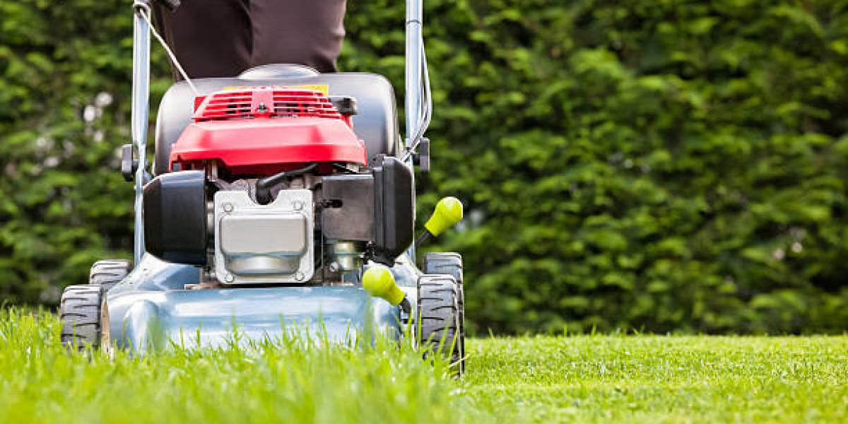 Best Lawn Care Services Near Me: Keeping Your Florida Lawn Beautiful
