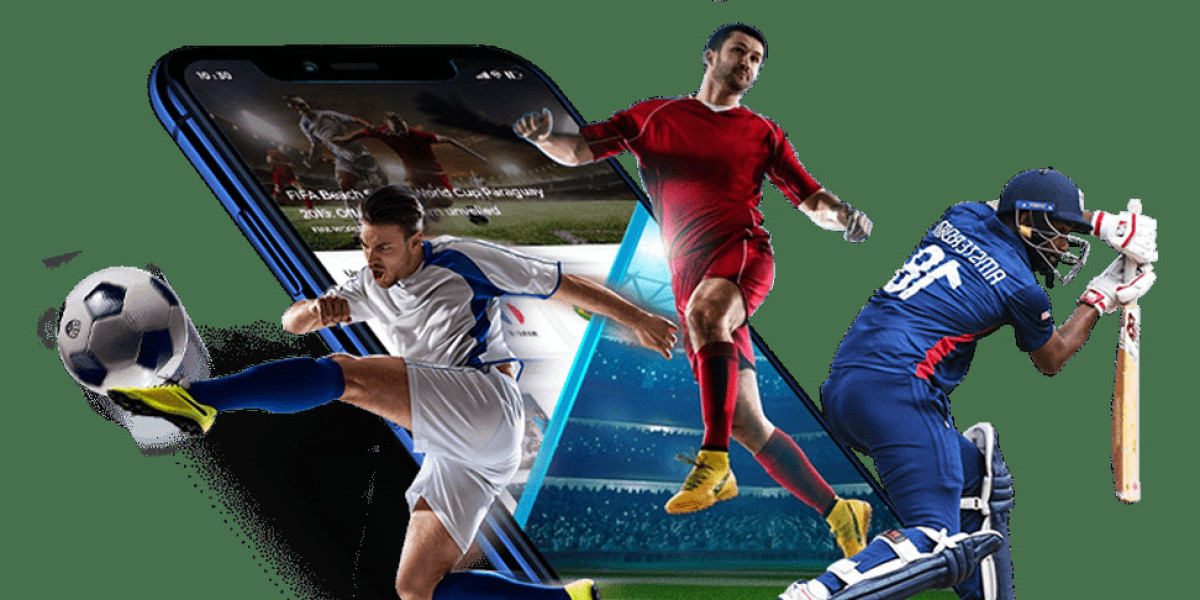 Elevating Fantasy Sports Experience: The Role of Web and App Development