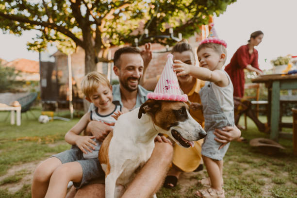 Skillfully Organizing a Memorable Dog Party