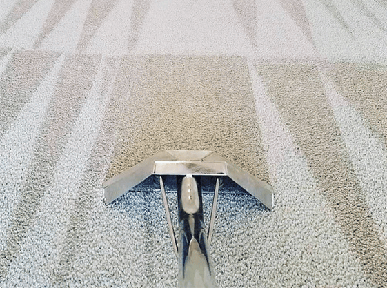 Carpet Cleaning Chelmsford CM1 | 20 000+ Reviews