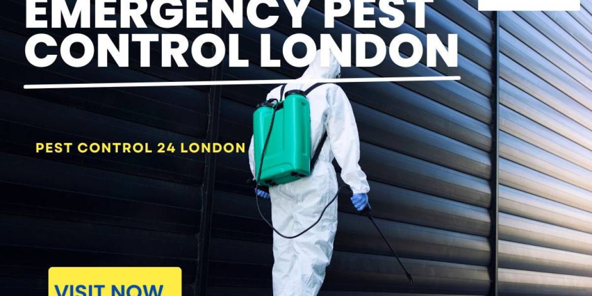 Pest control London: take care of infestations quickly