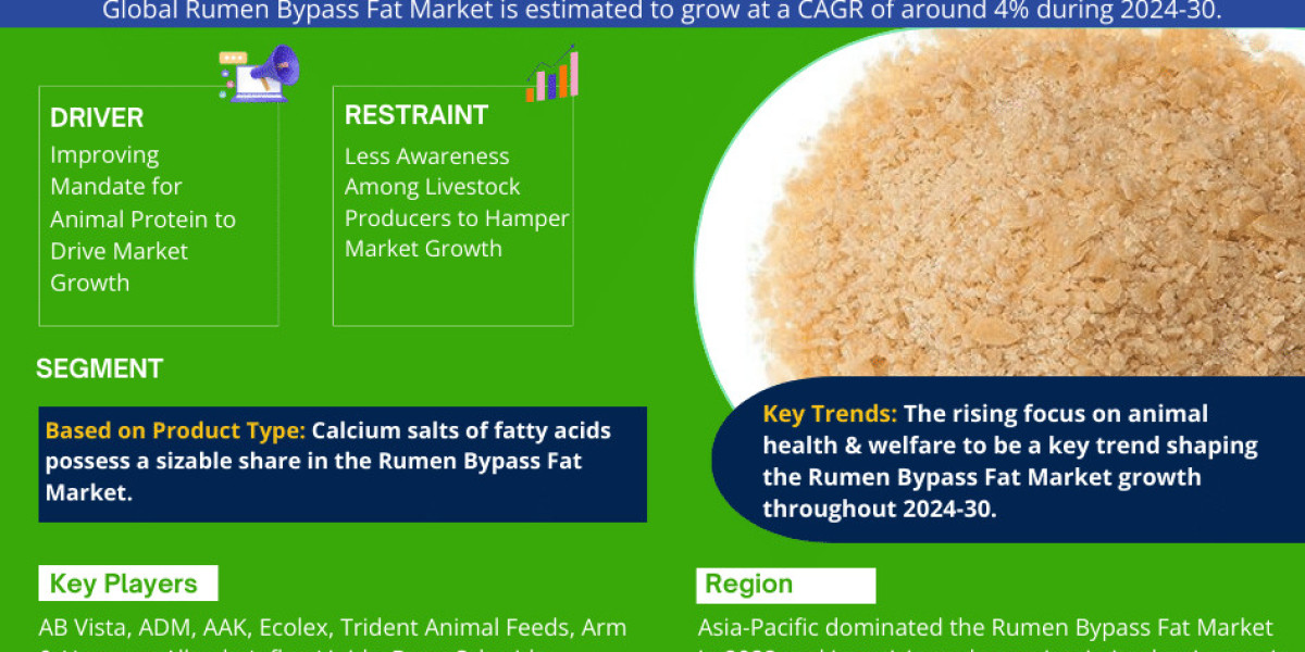 Global Rumen Bypass Fat Market Report 2024-2030 | Analyzing Industry Size, Share, and Growth Trends with Top Companies