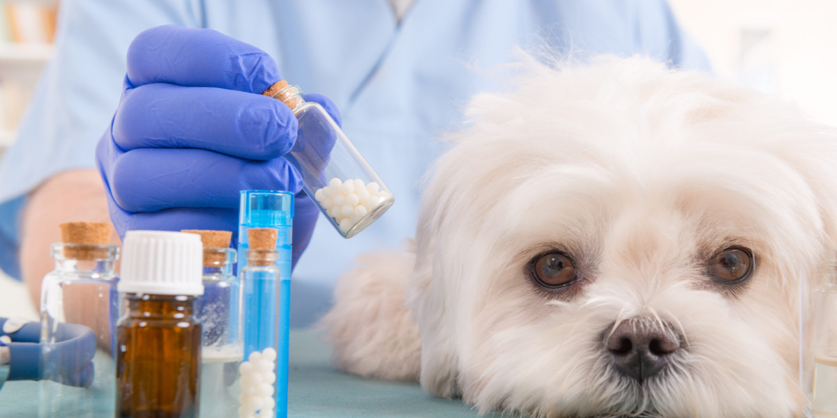 Chemist for Pets: Ensuring Health and Happiness through Science