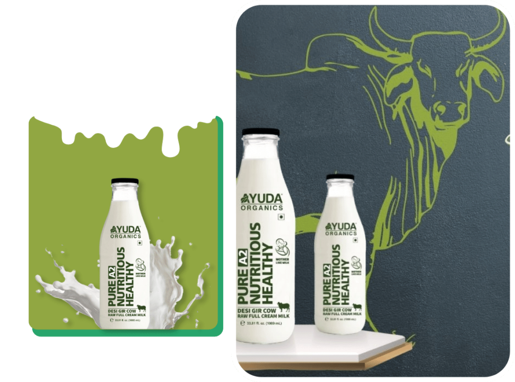 Unlocking the Secrets of Ayuda Organics’ Gir Cow Milk: A Path to Optimal Health