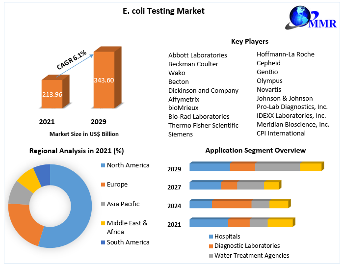 E. coli Testing Market: Global Industry Analysis and Forecast (2022-2029)