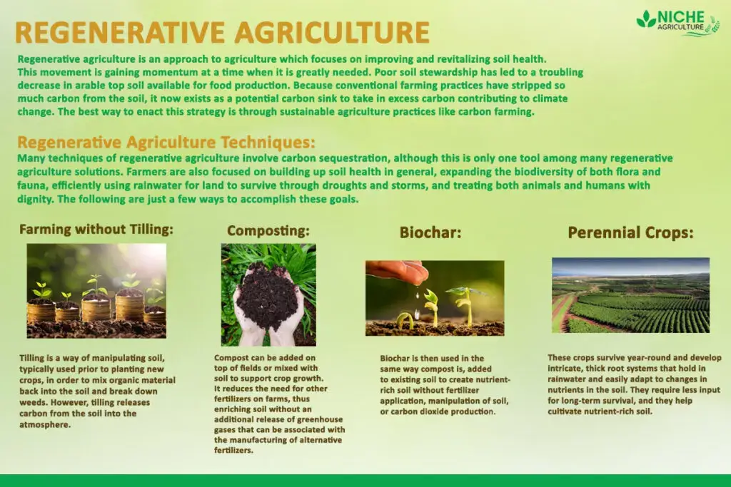 Regenerative Agriculture: Farming for a Greener Planet