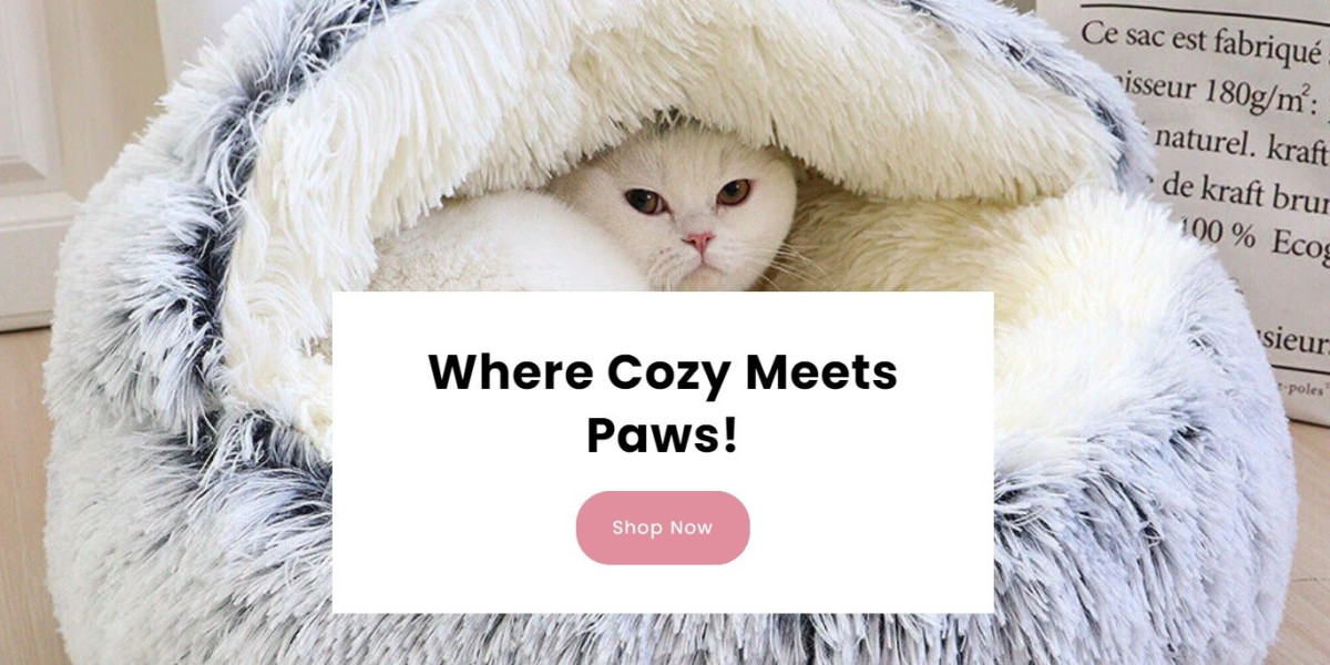 The Coziest Paws: Enhancing Pet Life with Premium Accessories