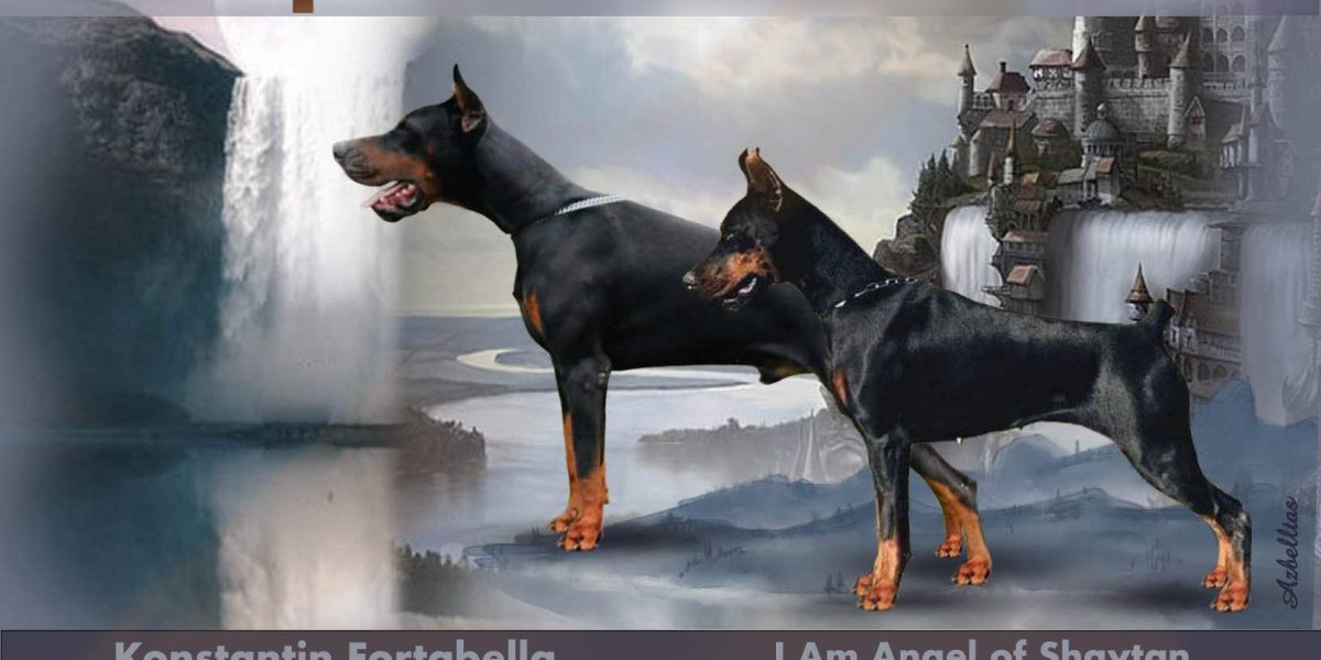 European Doberman Puppies: Gearing Up for Arrival with Essential Supplies