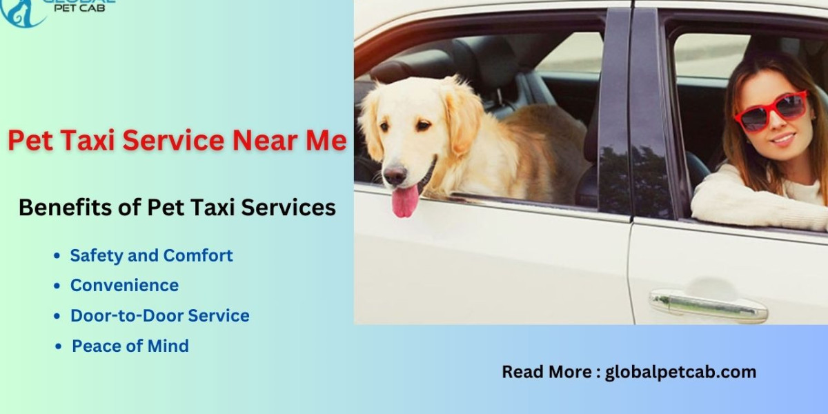Finding a Trusted Pet Taxi Service Near Me: Tips and Advice