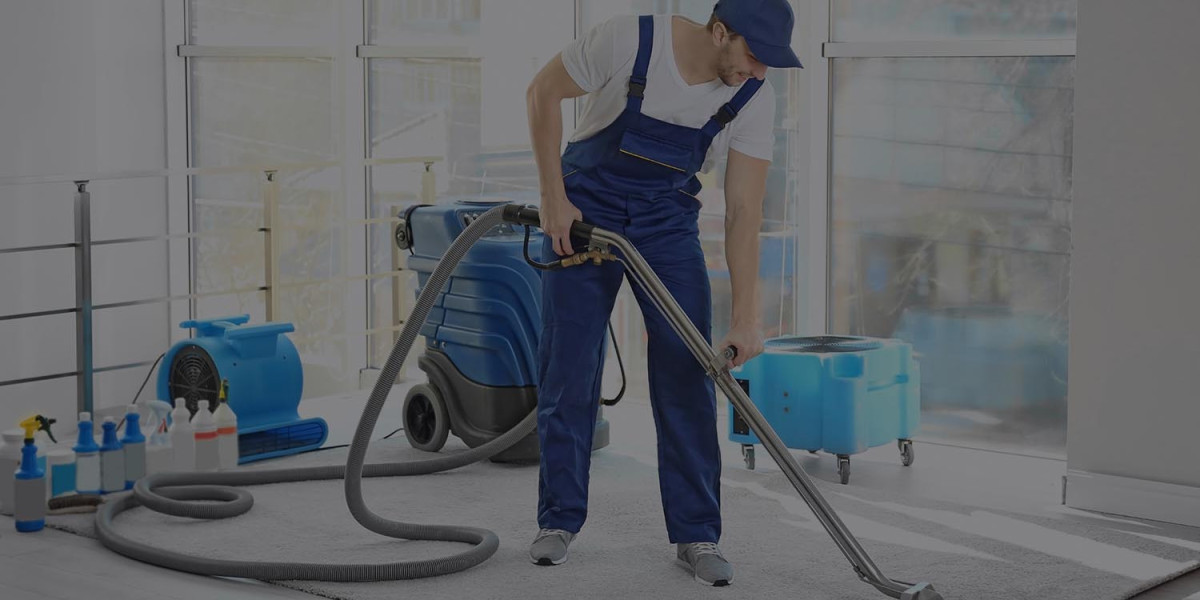 Carpet Care 101: Essential Maintenance Tips to Preserve Your Flooring Investment