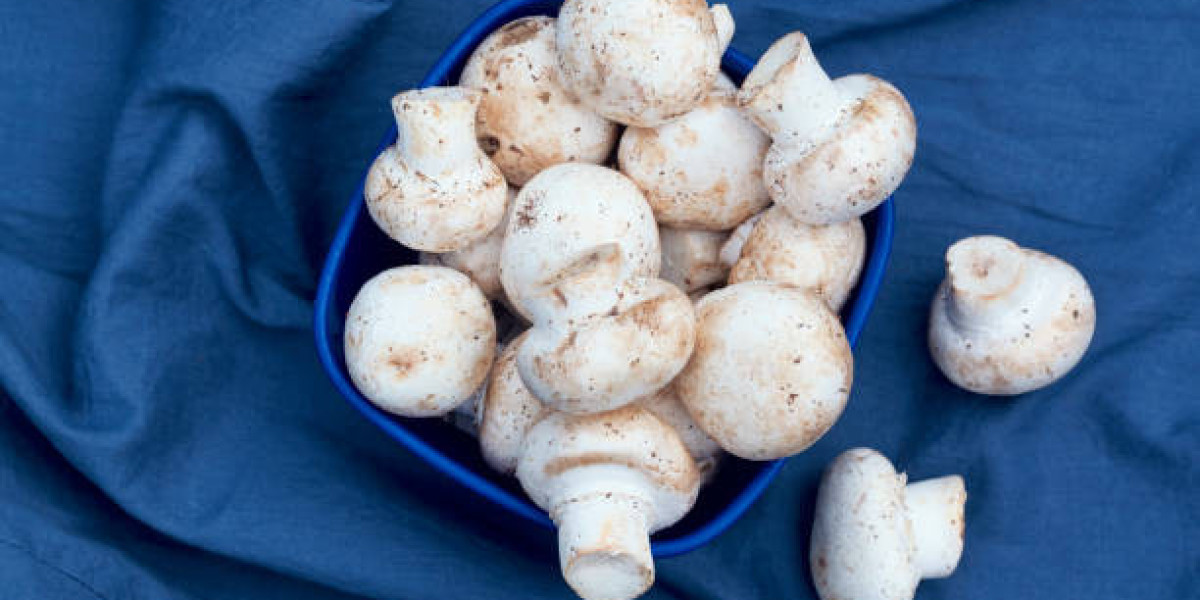Spain Edible Mushroom Market Research with Segmentation, Growth, and Forecast 2030