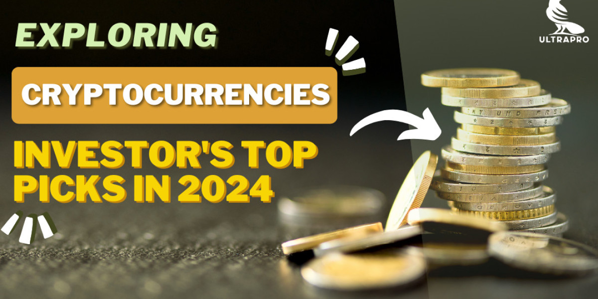 Exploring Cryptocurrencies: Investor's Top Picks in 2024