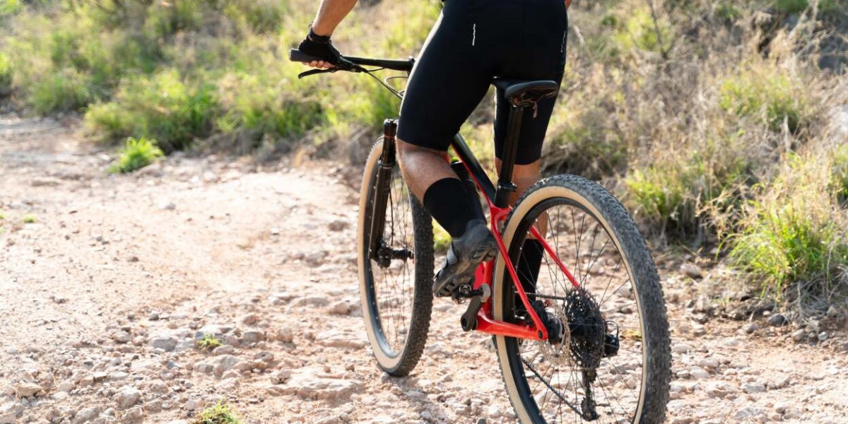 Cycling Shorts Market Future Trends and Research Report by 2024-2032