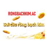 Rồng Bạch Kim Profile Picture