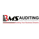 Bms Auditing Auditing Profile Picture