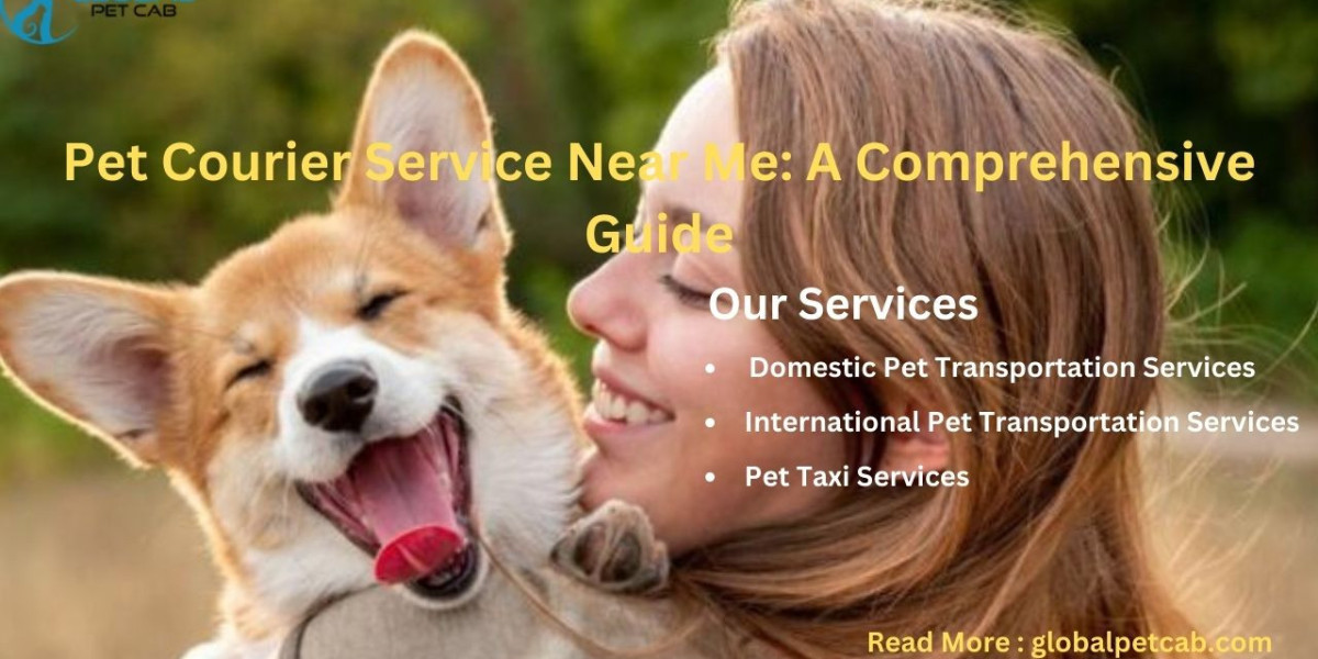 The Ultimate Guide to Finding the Best Pet Courier Service Near You