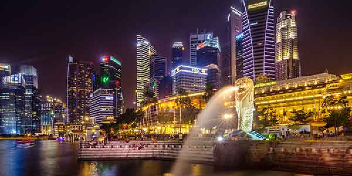 Explore the Lion City: Your Ultimate Guide to Singapore Tour Packages for Travel Agents