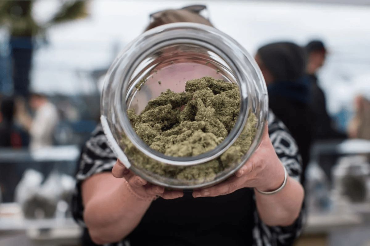 Order Pot in Canada: 7 Tips for Finding a Weed Dispensary