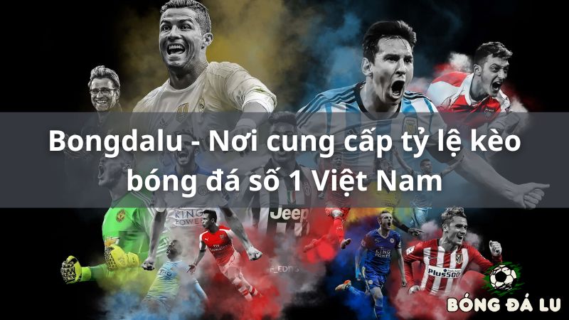 Bongdalu - Nơi cung cấp tỷ lệ kèo bóng đá lưu số 1 Việt Nam