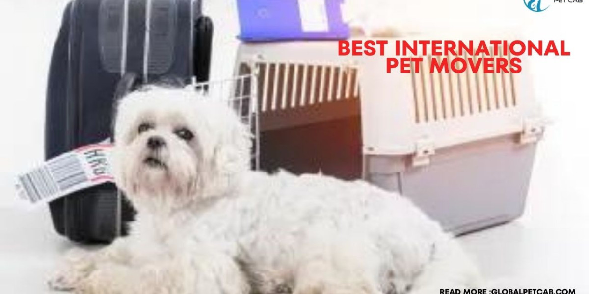 International Pet Movers: Ensuring a Safe Journey for Your Furry Friends