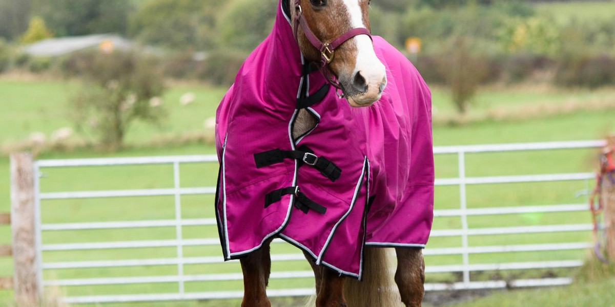 Stay Cool and Dry: The Advantages of No Fill Turnout Rugs