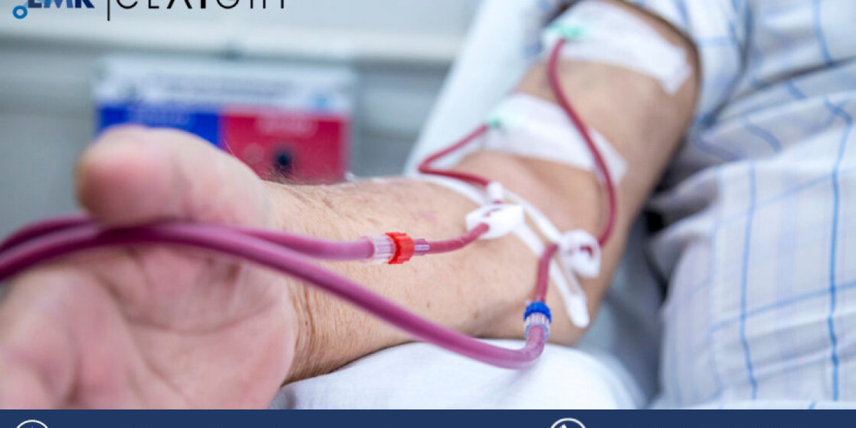 Philippines Dialysis Market Size, Share, Trends, Growth 2024-2032
