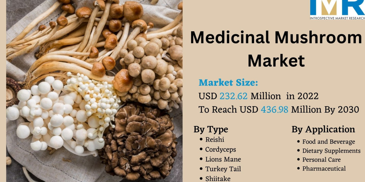 Medicinal Mushroom Market is projected to surge ahead at a CAGR of 8.2% from 2023 to 2030 |  IMR