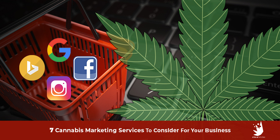Cannabis Marketing Services: Top 7 Tactics To Grow Business