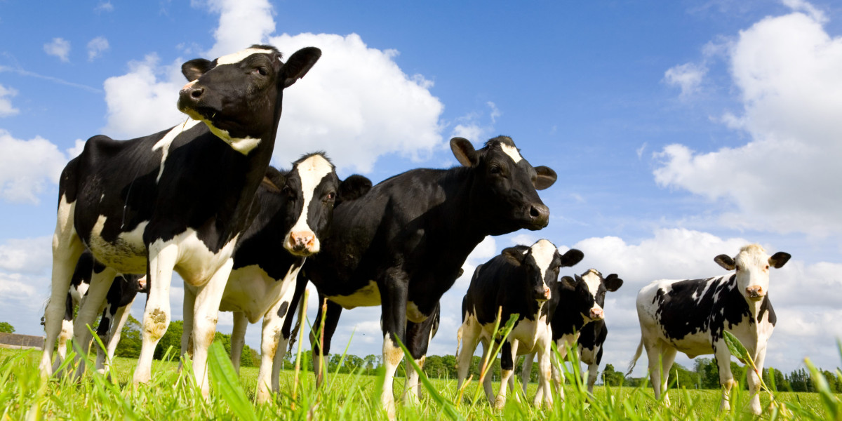 The global Precision Livestock Farming market size was valued at USD 6,800 million in 2022 and is projected to reach USD