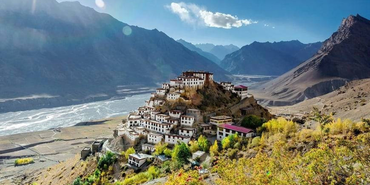 In Pursuit of the Elusive Snow Leopard: A Spiti Valley Tour Adventure