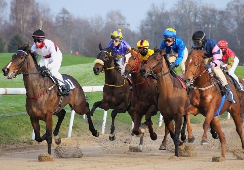 Is It Worth Contacting Professional Horse Racing Tipsters?
