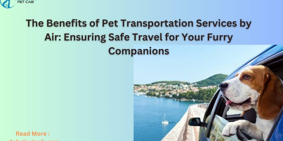 Pet-Friendly Travel: The Advantages of Pet Transportation Services by Air