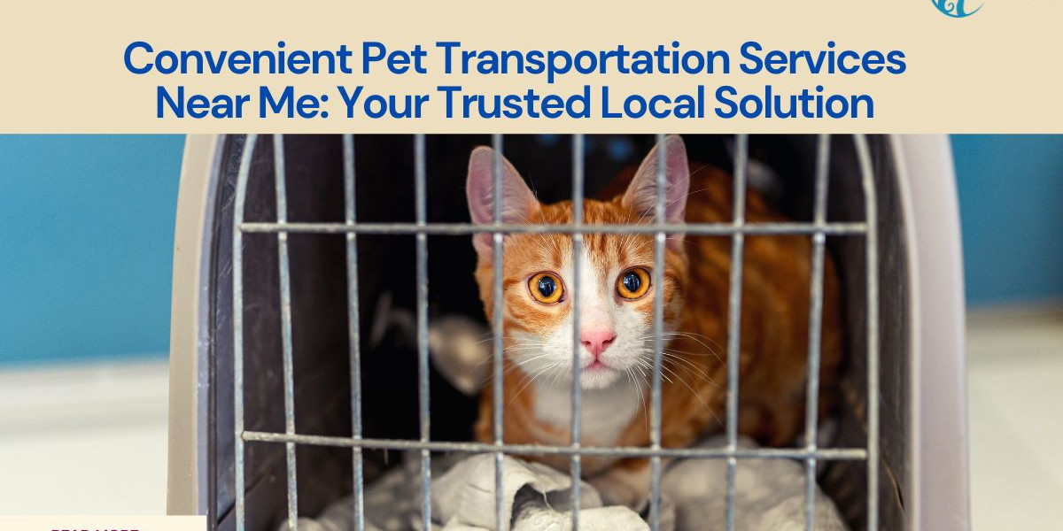The Best Pet Transportation Services Near Me for Your Furry Friends