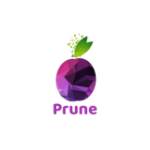 Prune Digital cansumer Solutions Pvt L Profile Picture