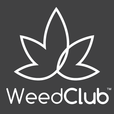WeedClub | My Business Name | Understanding the Phenomenon of Jipiti Chat: A Deep Dive into Virtual Conversations