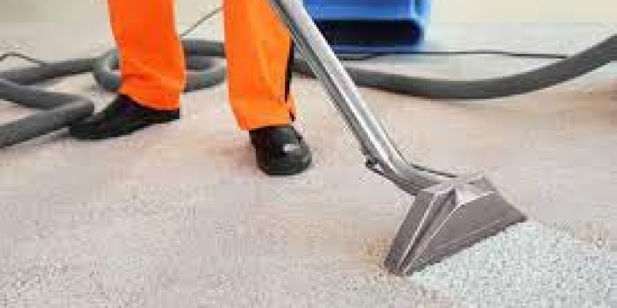 Experience Clean Living: The Importance of Professional Carpet Cleaning