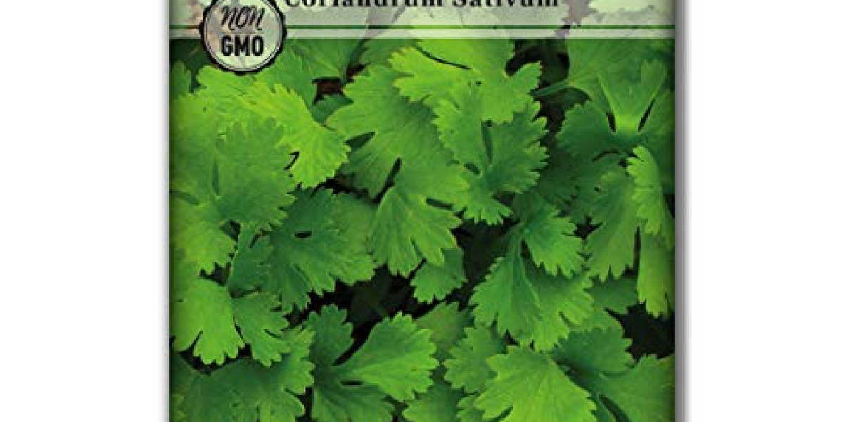 Sow Right Seeds Cilantro Seed: Non-GMO Heirloom Seeds with Planting Instructions - NBU Flowers