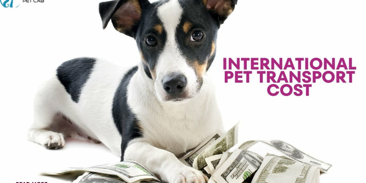 Navigating International Pet Transport Cost: A Pet Owner's Guide