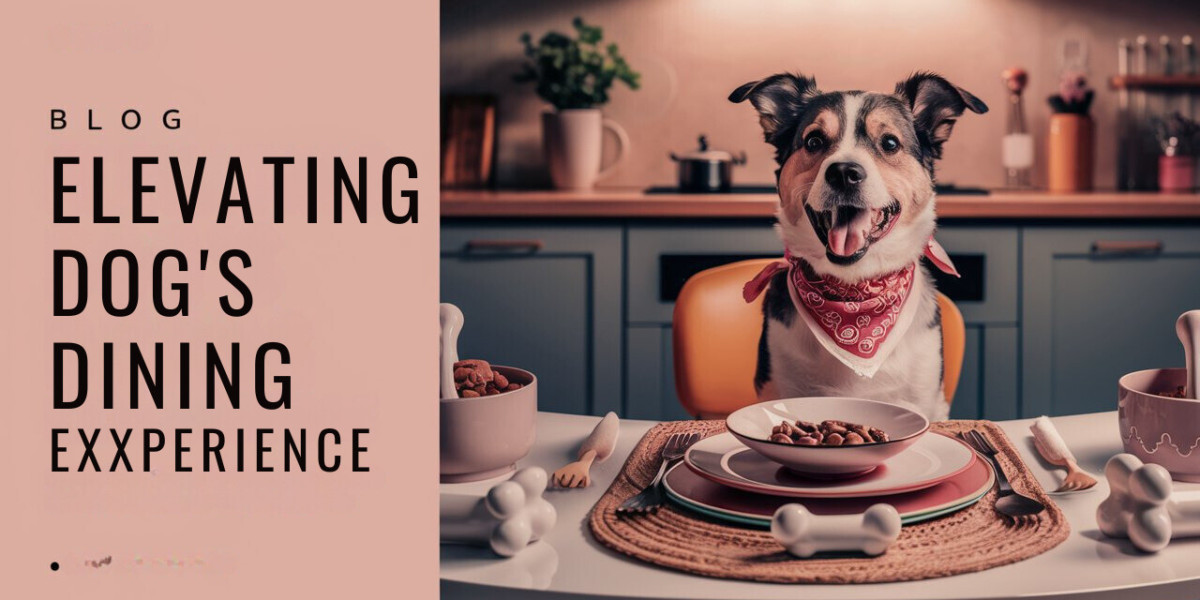 Transform Your Dog's Dining Experience with These Expert Eating Tips!