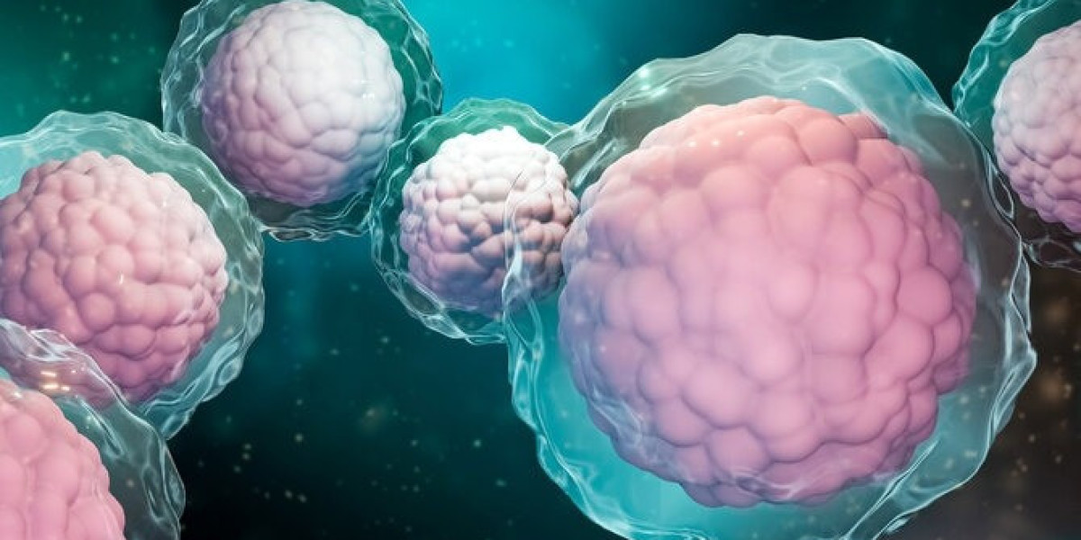 Cellular Evolution: Trends Reshaping Hematopoietic Stem Cell Transplantation