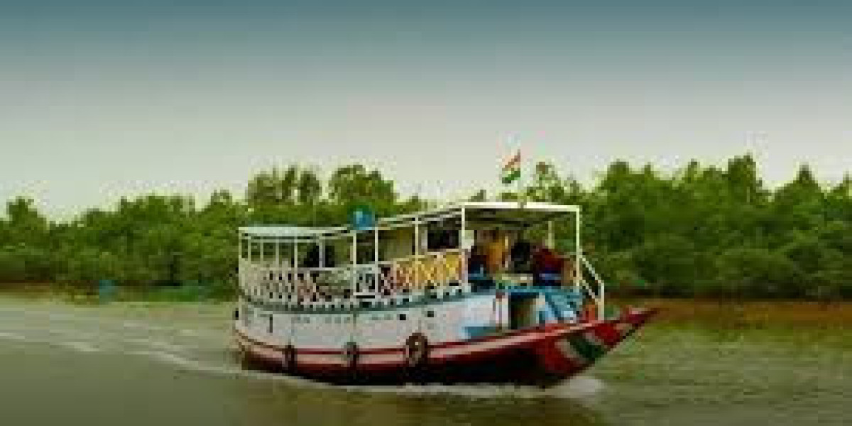 A Comprehensive Guide to a Mesmerizing Sundarban Trip