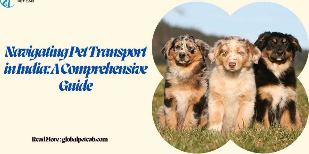 Top Airlines for Pet Transport in India: Policies and Procedures
